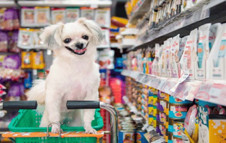 Kunci Sukses Bisnis Pet Shop